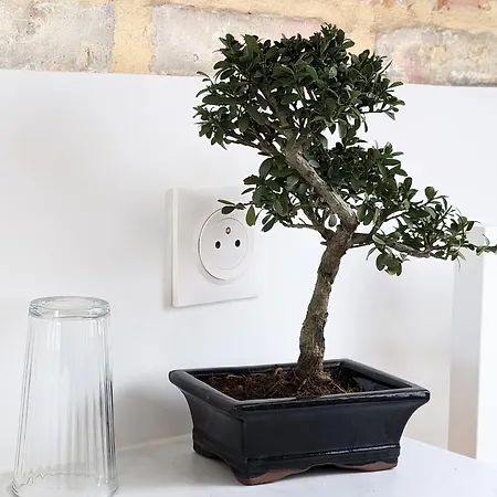 La Maison Des Petits Sablon أميا